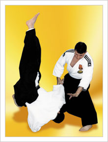 Read more about the article BASIC PRINCIPLES OF REAL AIKIDO